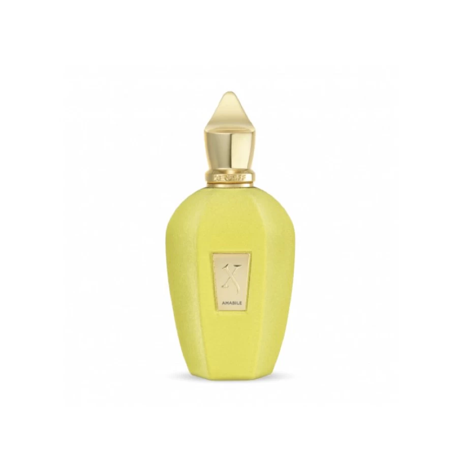 Xerjoff Amabile EDP 100ml Luxury Perfume for Women & Men - Premium Fragrance Duty-Free